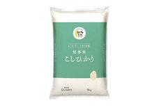 知多米　こしひかり5kg【1291190】