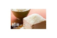 稲穂のしずく　白米　10kg【1601921】