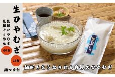 かわべ麺　生ひやむぎ・乾麺詰合せ 