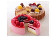 ～冷凍ケーキ～アントルメセレクション