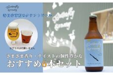 楽器シリーズのクラフトビール（6本セット）