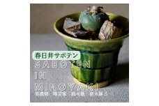 多治見市×春日井市コラボ 【美濃焼】 陶芸家「鈴木徹」植木鉢 S × 【日本有数のサボテン産地】 春日井市の名店 後藤サボテン 