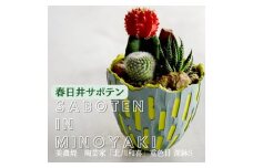 多治見市×春日井市コラボ 【美濃焼】 陶芸家「北川和喜」 重色目 深鉢S × 【日本有数のサボテン産地】 春日井市の名店 後藤サボテン 