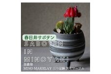 多治見市×春日井市コラボ 【美濃焼】 MINO MAKELAY 三つ足鉢 黒土マーブル ×【日本有数のサボテン産地】春日井市の名店 後藤サボテン 