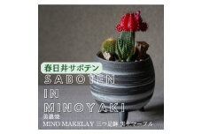 多治見市×春日井市コラボ 【美濃焼】 MINO MAKELAY 三つ足鉢 黒土マーブル ×【日本有数のサボテン産地】春日井市の名店 後藤サボテン 