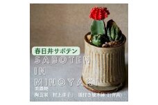 多治見市×春日井市コラボ 【美濃焼】 陶芸家「村上洋子」 皿付き植木鉢 T(背高) × 【日本有数のサボテン産地】 春日井市の名店 後藤サボテン