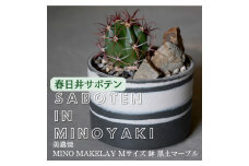 多治見市×春日井市コラボ 【美濃焼】 MINO MAKELAY Mサイズ 鉢 黒土マーブル ×【日本有数のサボテン産地】 春日井市の名店 後藤サボテン
