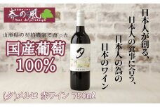 春日井ワイナリー 春の風 (夕)メルロ 赤ワイン 750ml | 赤 ワイン 日本ワイン 国産ワイン メルロー 国産 葡萄100%ワイン ぶどう100% 渋味 酸味 ミディアムライト フルーツ 香り 春日井 ワイナリー ご当地 アルコール ギフト 贈り物 Japanese Wine 愛知県 春日井市