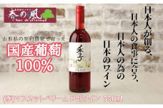 春日井ワイナリー 春の風 (季) マスカットベリーA ロゼワイン 750ml | ワイン 日本ワイン 国産ワイン ロゼ 国産 葡萄100%ワイン ぶどう100% マスカットベーリーA フルーツ 香り 春日井 ワイナリー ご当地 アルコール ギフト 贈り物 Japanese Wine 愛知県 春日井市