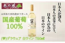 春日井ワイナリ－春の風 (寧)デラウェア 白ワイン 750㎖