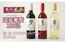 春日井ワイナリ－春の風 赤・白・ロゼ3本セットワイン 各750㎖