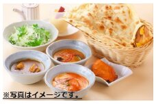 【インド亭】お試し5種カレー(各１個入）