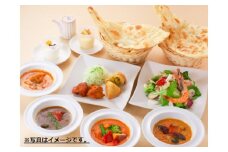 【定期便】5カ月間毎月届く！月替りインド亭カレー２０個入セット
