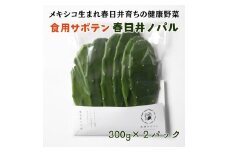 メキシコ生まれ春日井育ちの健康野菜
食べるサボテン「春日井ノパル」300ｇ×２パック