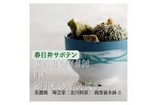多治見市×春日井市コラボ 【美濃焼】 陶芸家「北川和喜」 碗型植木鉢 S× 【日本有数のサボテン産地】 春日井市の名店 後藤サボテン
