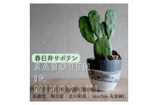 多治見市×春日井市コラボ 【美濃焼】 陶芸家「北川和喜」 marble 丸深鉢 L × 【日本有数のサボテン産地】 春日井市の名店 後藤サボテン