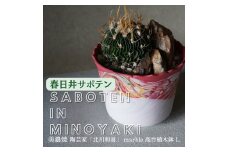 多治見市×春日井市コラボ 【美濃焼】  陶芸家「北川和喜」 marble 高台植木鉢 L × 【日本有数のサボテン産地】 春日井市の名店 後藤サボテン