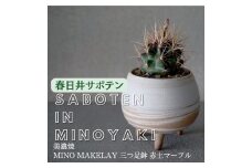 多治見市×春日井市コラボ 【美濃焼】  MINO MAKELAY 三つ足鉢 赤土マーブル × 【日本有数のサボテン産地】 春日井市の名店 後藤サボテン