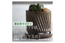 多治見市×春日井市コラボ 【美濃焼】 陶芸家「村上洋子」 皿付き植木鉢 S × 【日本有数のサボテン産地】 春日井市の名店 後藤サボテン