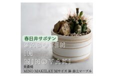 多治見市×春日井市コラボ 【美濃焼】   MINO MAKELAY Mサイズ 鉢 赤土マーブル × 【日本有数のサボテン産地】 春日井市の名店 後藤サボテン