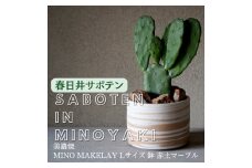 多治見市×春日井市コラボ 【美濃焼】  MINO MAKELAY Lサイズ 鉢 赤土マーブル × 【日本有数のサボテン産地】 春日井市の名店 後藤サボテン