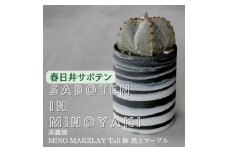 多治見市×春日井市コラボ 【美濃焼】 MINO MAKELAY Tall 鉢 黒土マーブル × 【日本有数のサボテン産地】 春日井市の名店 後藤サボテン