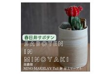 多治見市×春日井市コラボ 【美濃焼】 MINO MAKELAY Tall 鉢 赤土マーブル × 【日本有数のサボテン産地】 春日井市の名店 後藤サボテン