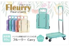 ハンドルが伸縮する台車「フルーリーCarry」　カラー：ミント（グリーン）