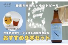 楽器シリーズのクラフトビール（9本セット）