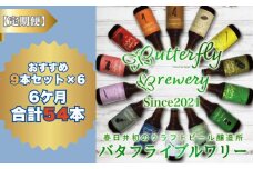 楽器シリーズのクラフトビールが毎月１回9本半年間届きます。（計６回）