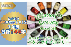 楽器シリーズのクラフトビールが毎月１回12本1年間届きます。（計12回） | 飲料 アルコール ビール クラフトビール 乾杯 晩酌 地ビール IPA ペールエール ラガー ブルワリー 自家醸造 ボトルビール 瓶ビール 飲み比べ 定期便 お取り寄せ ギフト 贈り物