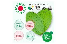 【期間限定】食べるサボテン 太陽の葉 フレッシュリーフ(新芽限定・お試し500g)