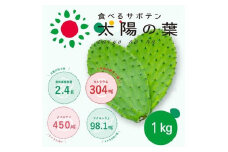 食べるサボテン 太陽の葉 フレッシュリーフ食用サボテン（１kg）
