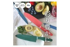 包丁だって彩り豊かに！オールステンレスのカラー包丁「haleiro（ハレイロ）」サントク・ペティ　各1本のセット