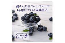 春夏秋冬いつでも旬の国産生ブルーベリーを味わうセット＜クリスピーベリー＞ 100gパック×3【1280224】