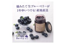 ＜愛知県産＞クリスピーベリーセット　生ブルーベリー×1パック ブルーベリースプレッド×2個【1334619】