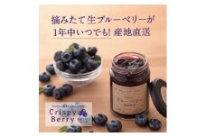 ＜愛知県産＞クリスピーベリーセット　生ブルーベリー×2パック ブルーベリースプレッド×1個【1332571】
