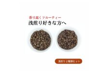 スペシャルティコーヒー 浅煎りコーヒー豆2種類セット 合計600g(粉 中挽き)【1346176】