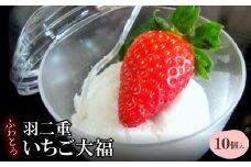 ふわとろ羽二重(はぶたえ)いちご大福【1264822】