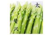 ＜2025年6月より順次発送＞鮮度抜群!やわトロ!アスパラガス『太』【1571126】
