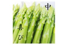 ＜2025年6月より順次発送＞鮮度抜群!やわトロ!アスパラガス『中』【1571127】