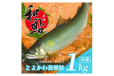 とよかわ鮎 1kg - 厳選鮎使用!＜おすすめお礼品＞【1289322】