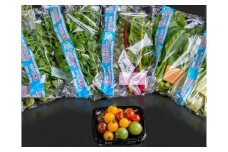 「川助農園」季節の野菜セット