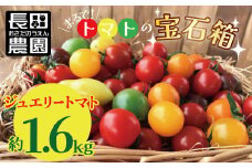 【2026年度予約分】まるでトマトの宝石箱！フルーツジュエリートマト約1.6㎏ 長田農園  産地直送 トマト とまと 野菜 やさい フルーツ サラダ 濃厚 甘い ご褒美 プレゼント 美容 健康 リピート多数 人気 高評価 先行受付 数量限定 碧南市 H004-162_Nov