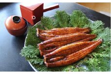 三河一色産 鰻の蒲焼き 3尾 計540g以上 うなぎ処はちすか　H026-031