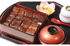鰻料理専門店「うなぎ処はちすか」お食事券 2枚　H026-034