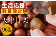 この道50年の職人が焼く、やさしい甘みたっぷりの「天津甘栗」960g （ 800g + 160g ）！ 生活応援 焼きたて 栗 くり 栗爪 殻付き お菓子 おつまみ 人気 高リピート 小分け 栗ご飯 栗きんとん 甘露煮 増量 訳あり H045-072