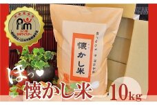 【お米マイスター】ほっ♡懐かし米 10kg H056-108