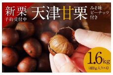 【新栗】（予約受付）この道50年の職人が焼く､やさしい甘みたっっっぷり！｢天津甘栗｣ 1.6kg みそ味ピーナッツ付き 新栗 焼きたて 栗 くり 栗爪 殻付き お菓子 おつまみ 人気 高リピート 小分け 栗ご飯 栗きんとん 甘露煮 予約 先行 受付中  H045-052