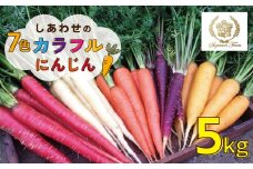【期間限定】 冬の寒さでぎゅっと濃い！虹色のカラフルにんじん 鈴盛農園 農家直送 甘い スーパーフード 健康 自慢 ジュース サラダ ギフト 贈り物 βカロテン ポリフェノール リコピン ジューシー H022-012